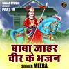 About Baba Jaharveer Ke Bhajan Part 10 (Hindi) Song