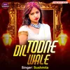 About Dil Todne Wale (Hindi) Song