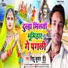 About Dulha Milatau Bhumihar Ge Pagali (Maghi Song) Song