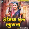 About Sejiya Suna Lagata (Bhojpuri) Song