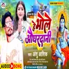 About Hay Bole Audhardhani (Hindi) Song