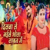 About Dilwa Le Gaile Bhola Sawan Me Song