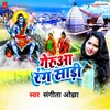 About Geruaa Rang Saadi Song