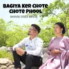 About Bagiya Ker Chote Chote Phool Song