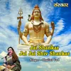 About Jai Shankar Jai Jai Shiv Shankar Song