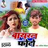 About Virel Photo (Bhojpuri) Song