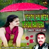 About Yeh Dil Hai Mera Yeh Dil Hai Tera (Hindi) Song