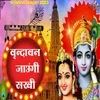 About Vrindavan Jaungi Sakhi (Hindi) Song