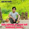 Kalo Lahengo Piv Reed Bull Madhopur Tesan P