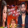 About Dilba Tori Ke Jeme Ge Jaan (Maithili) Song