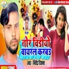 About Tor Video Viral Karbo Ge Chhori (Bhojpuri Song) Song