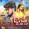About Dilwa Mor Todi Demhi (Maghi) Song