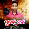 About Sundri Noni Song