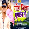 About Gonda Jila Ghumaib Ho (Bhojpuri) Song