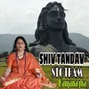 Shiv Tandav Stotram (Sanskrit)