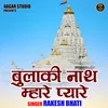 About Bulaki Nath Mhare Pyare (Hindi) Song