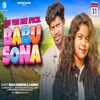 About Babu Sona Song