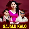 About Gajalu Kalo Song