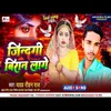 About Jindagi Biran Laage Song