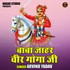 About Baba Jahar Veer Goga Ji (Hindi) Song