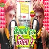 About Vaishali Ha Jila Re (Bhojpuri orchestra song 2023) Song