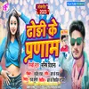 About Dhodi Ke Parnam (Bhojpuri Song) Song