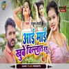 About Aai Mai Chillat Rahu (Bhojpuri) Song