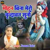 About Mohan Bina Mero Vrindavan Suno (Hindi) Song