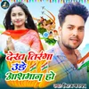 About Dekh Tiranga Ude Ashaman Ho Song