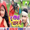 About Tu Ropihe Dhan Ge (maghi song) Song