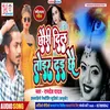 About Chhauri Dil Toir Dai Chhai (Maithili) Song