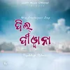 About Dil Deewana (Sambalpuri) Song