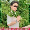 Sr 25000 Sahin Singer