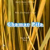 About Ghamar Pila (Sambalpuri) Song