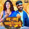 About Mar Jai Pagla Re Pagli (Bhojpuri) Song