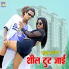 About Shil Tor Tut Jayi (Bhojpuri) Song