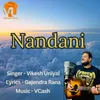 About Nandani Song