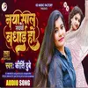 About Naya Sal Sabke Badhai Ho Song