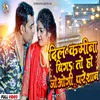 About Dil Bigra To Ho Jaogi Pareshan (Bhojpuri) Song