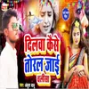 About Dilwa Kaise Toral Jai Chalisa Song