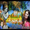 About Teri Kripa Se Shyam Jee Song