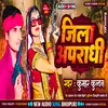About Jila Apradhi (Rangdari song) Song