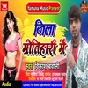 About Jila Motihari Mein Song