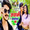 About Jawani Jan Lewa Ba (Bhojpuri Song) Song