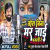 About Tora Bina Mar Jai Pagli Re Song