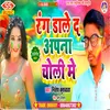 About Rang Daale Da Apna Choli Me Song