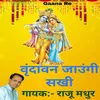 About Vrindavan Jaungi Sakhi Song