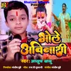 About Bhole Avinashi Song