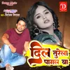 Dil Turela Pagal Ba (Bhojpuri Bewfai Song)