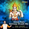 About Goonj Rahi Sehnayi Avadh Me Song